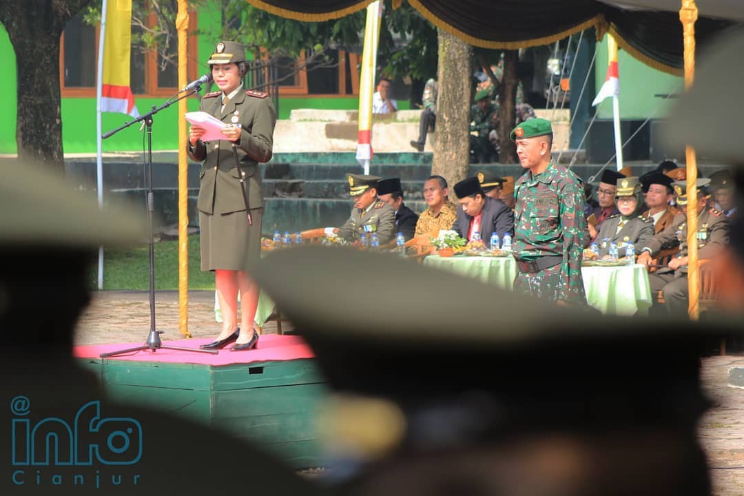  TNI Harus Profesional untuk Jaga Kedaulatan NKRI
