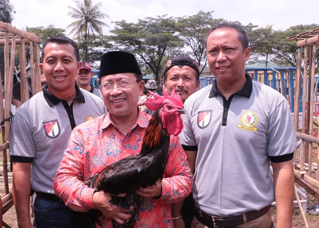  Bupati Herman Buka Kontes Nasional Ayam Pelung
