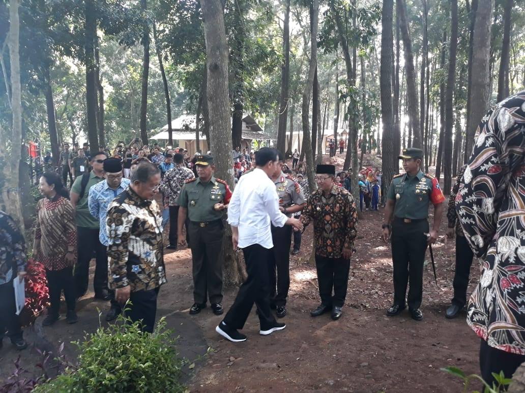  Petani Cianjur Bahagia, Jokowi Datang Bagi-bagi Sertifikat Lahan Perhutanan Sosial