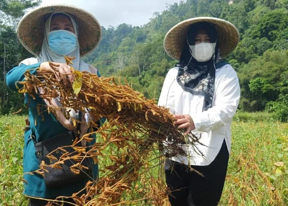  Menjadi 3 Besar se-Indonesia, Kabupaten Cianjur Berhasil Raih Prestasi di Bidang Pertanian