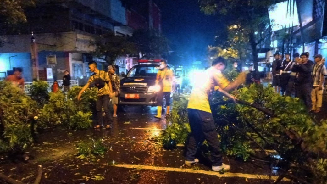  Hujan Deras, Pohon Tumbang Timpa Kios dan Pengendara