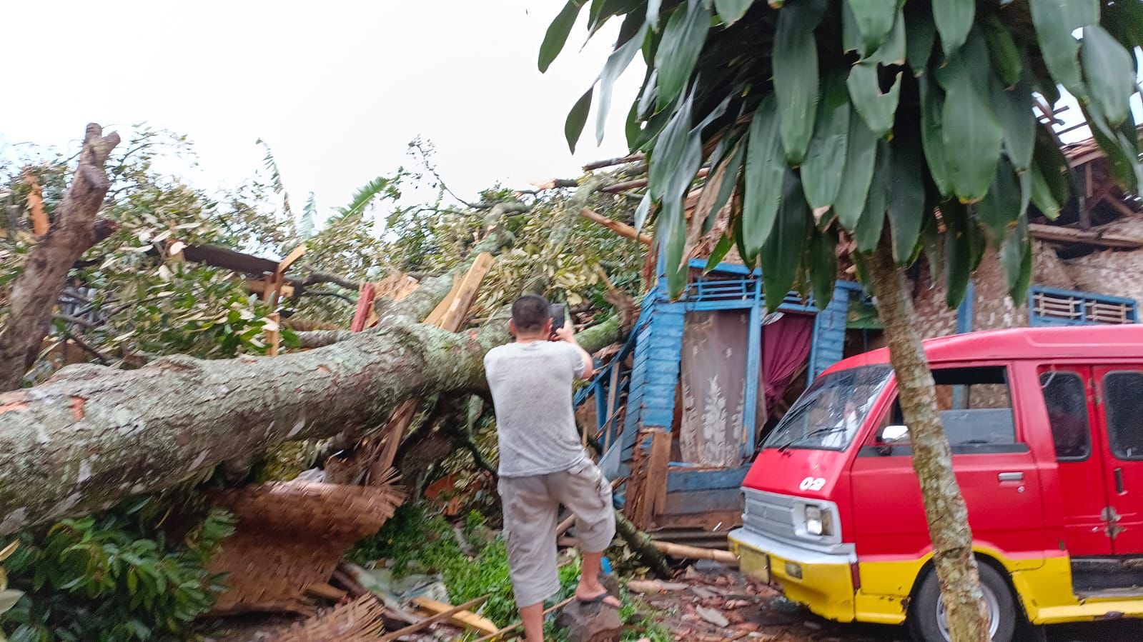  Hujan Disertai Angin, Pohon Tumbang Timpa Rumah Warga di Cilaku