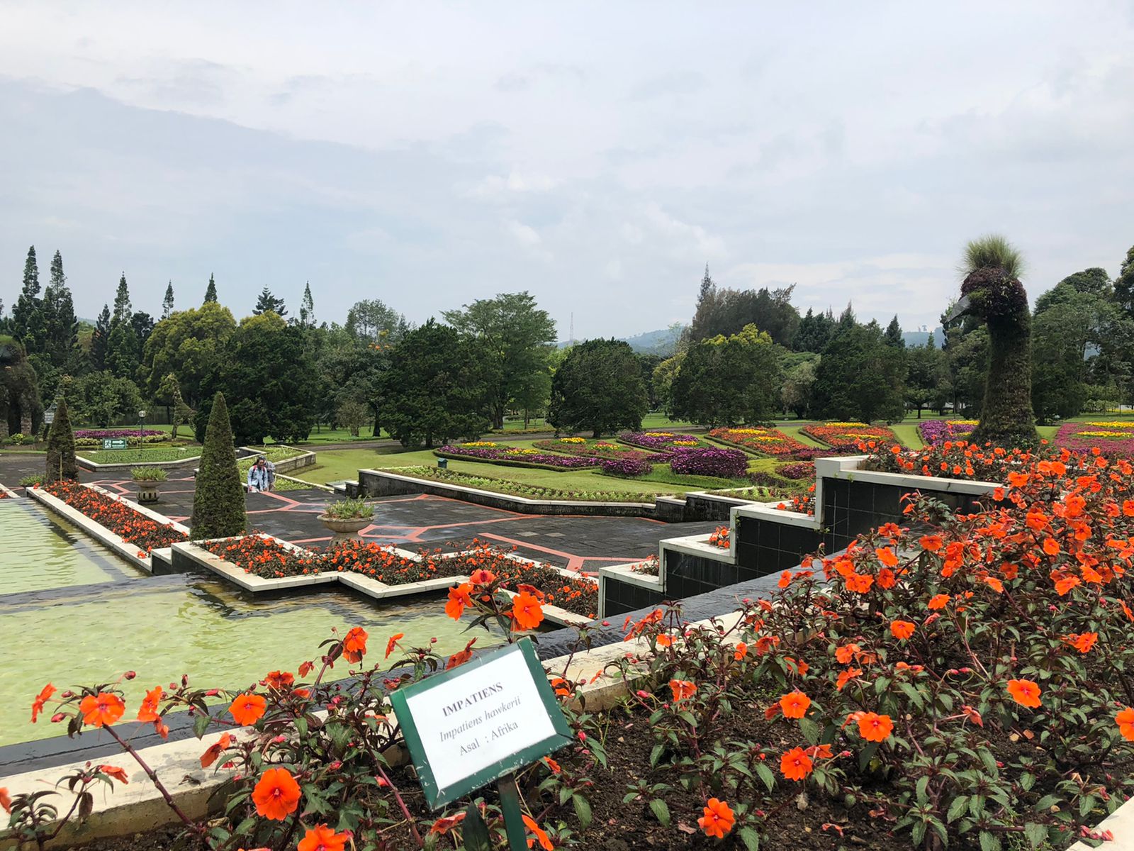  PPKM, Pengungunjung Taman Bunga Nusantara Menurun Drastis