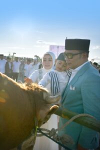 Ridwan Kamil Salat Id Bersama Ribuan Warga di Masjid Raya Al Jabbar, Kurban Sapi Simmental 980 Kilogram