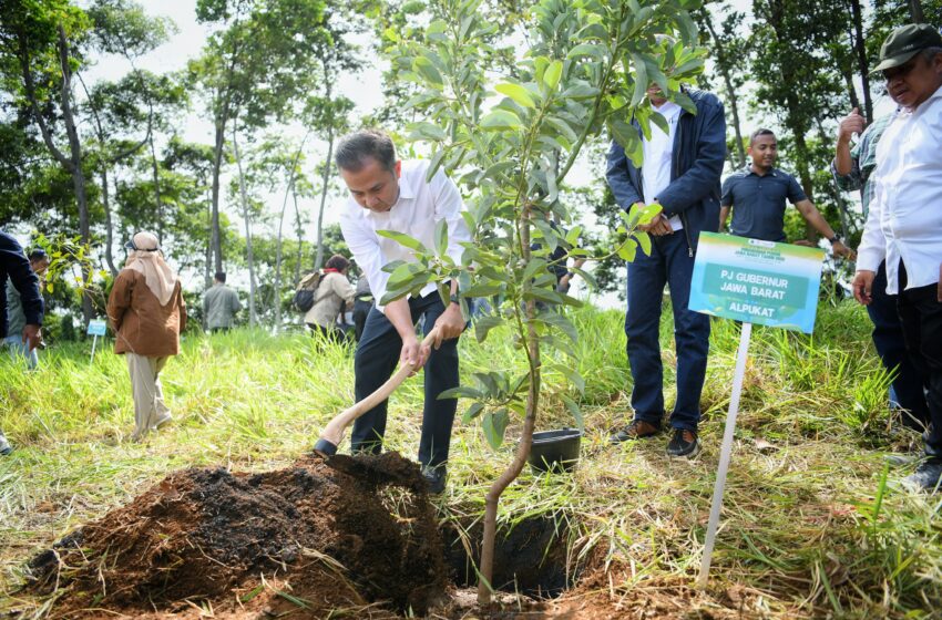 Bey Machmudin Awali Kerja 2025 dengan Tanam 24 Ribu Bibit Produktif di Cikanyere